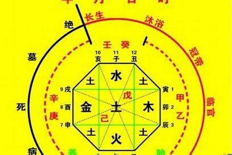 五行 忌神|八字入门基础 第六篇 如何判断八字喜用神